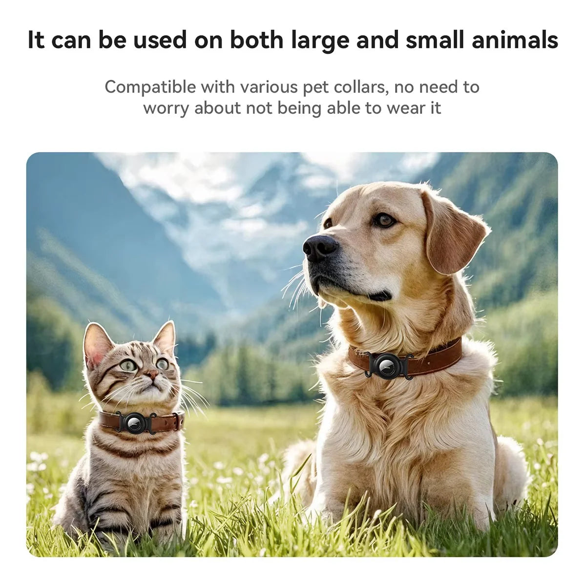 GPS Pet Tracker with No Monthly Fees – Compatible with Apple Find My for Dogs and Cats
