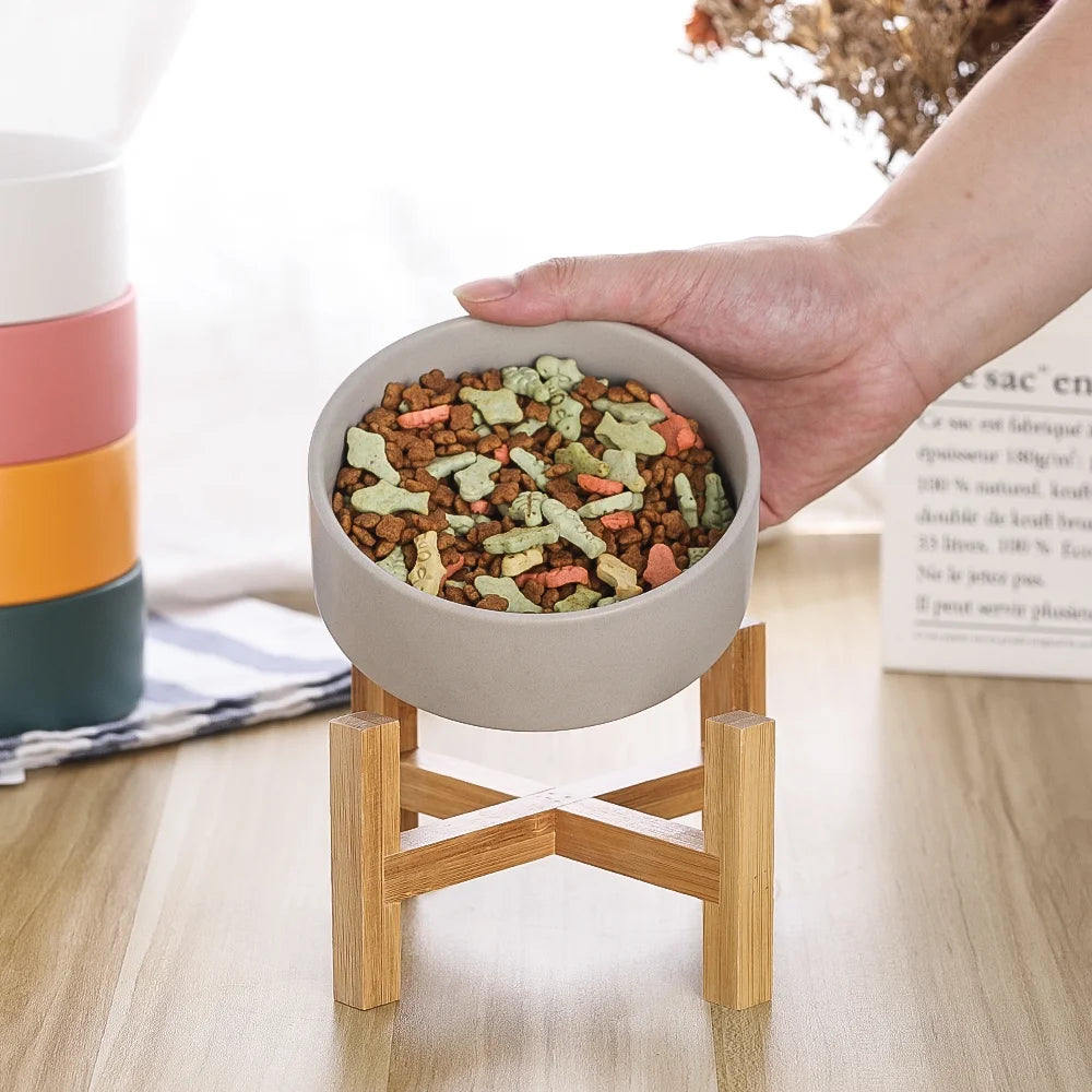 Lionwei Elevated Ceramic Cat & Dog Bowl with Anti-Slip Stand for Pets, White