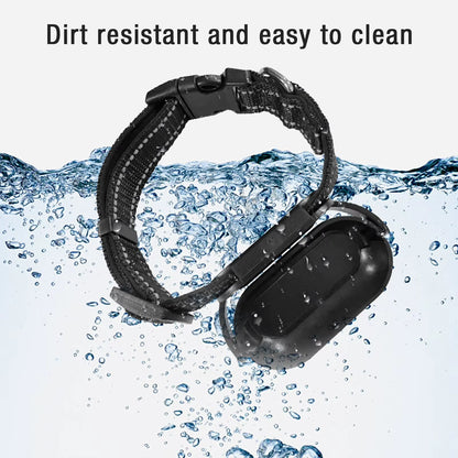 Pet Collar Camera with 120-Degree Lens, OTG Connection, Video Recording, Adjustable Magnetic Design for Outdoor Use