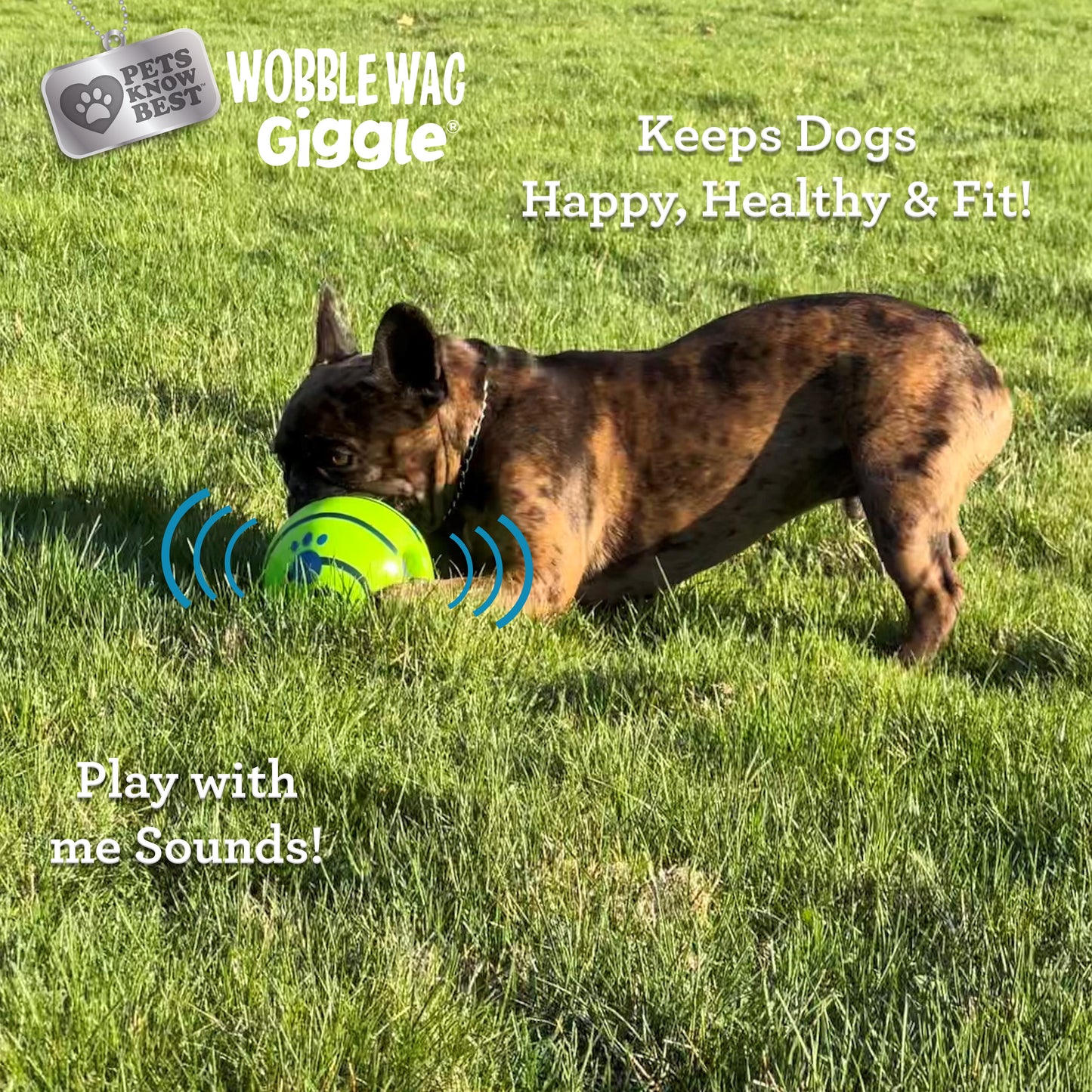 Wobble Wag Giggle Ball Dog Toy, Tear-Resistant, Green