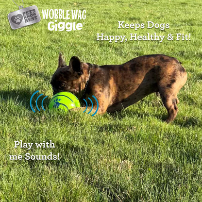 Wobble Wag Giggle Ball Dog Toy, Tear-Resistant, Green