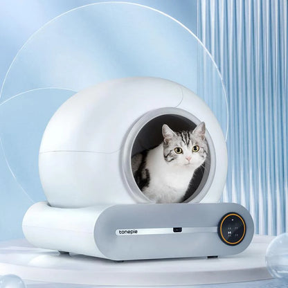 Automatic Self-Cleaning Cat Litter Box with APP Control, Enhanced Safety Features, Low Entry Design, and Large Capacity