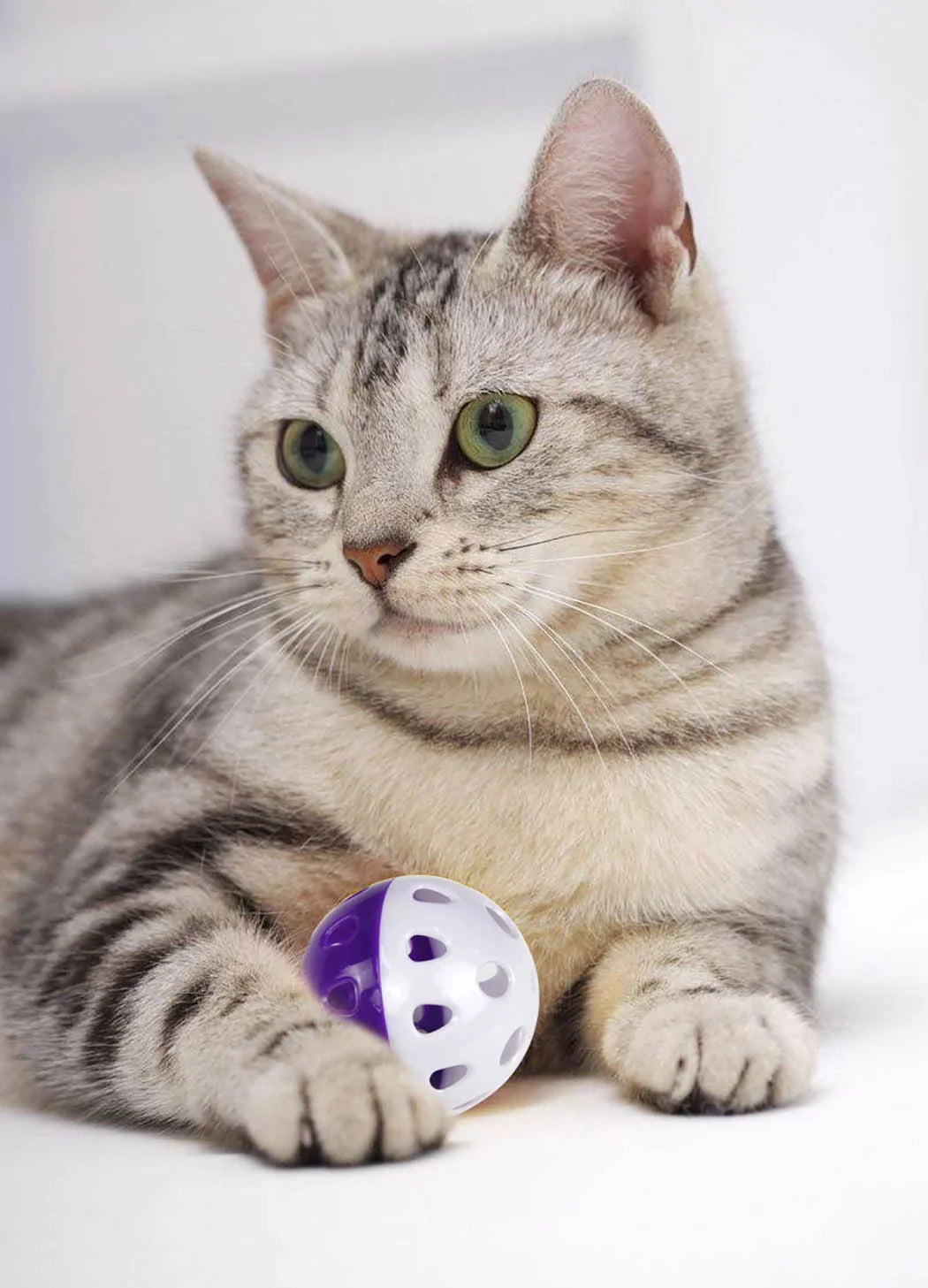 Interactive 6-Piece Cat Toy Set with Bell Balls for Kittens and Cats