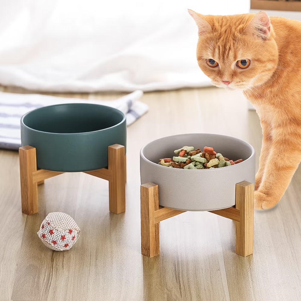 Lionwei Elevated Ceramic Cat & Dog Bowl with Anti-Slip Stand for Pets, White