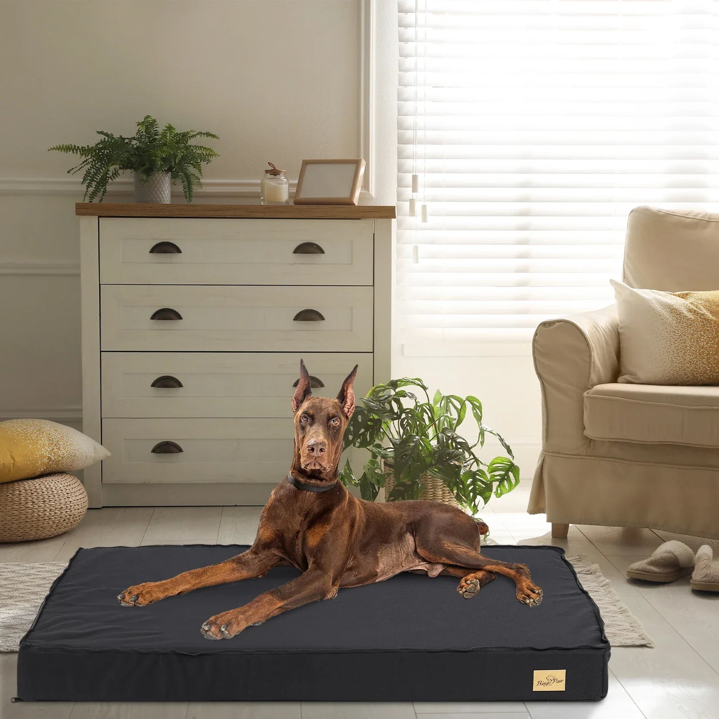 Orthopedic Washable Dog Bed for Large Breeds - Comfortable Sponge Foam Pet Bedding for Crate Use